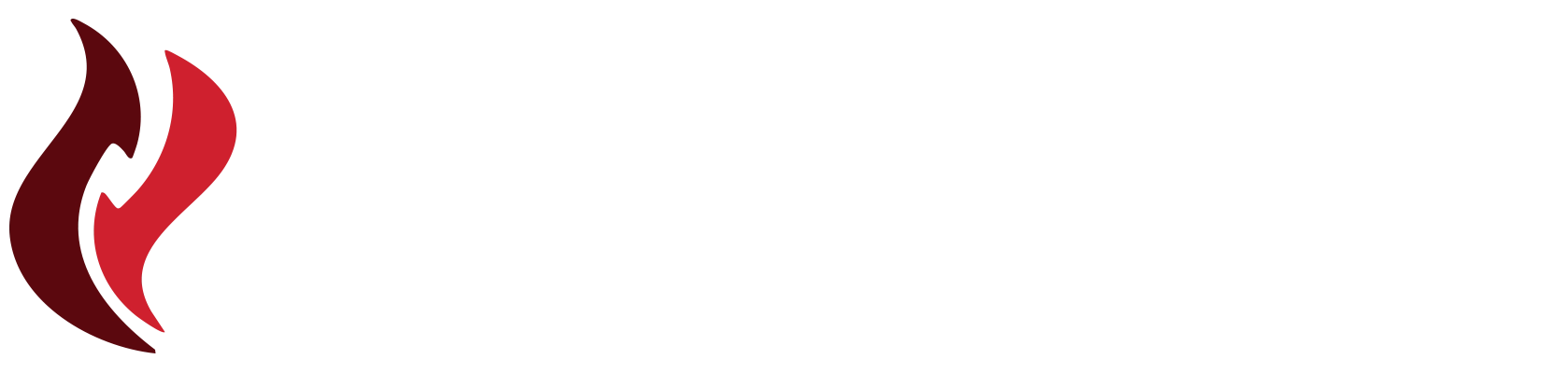 RCS Gas Grills