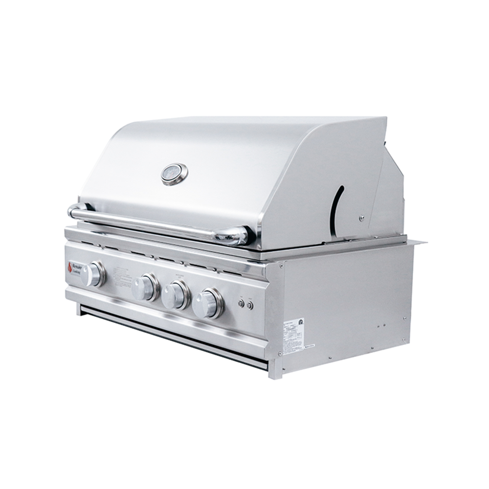 RCS Gas Grills - 30